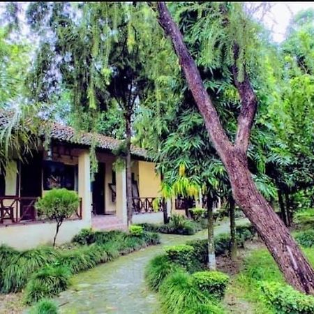 Rhino Lodge Bardia Pvt Ltd Bardiya Buitenkant foto