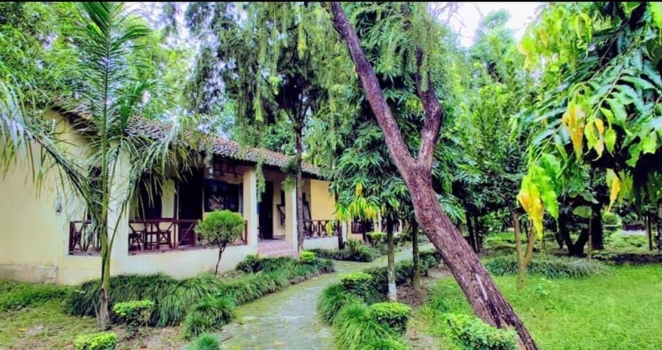 Rhino Lodge Bardia Pvt Ltd Bardiya Buitenkant foto