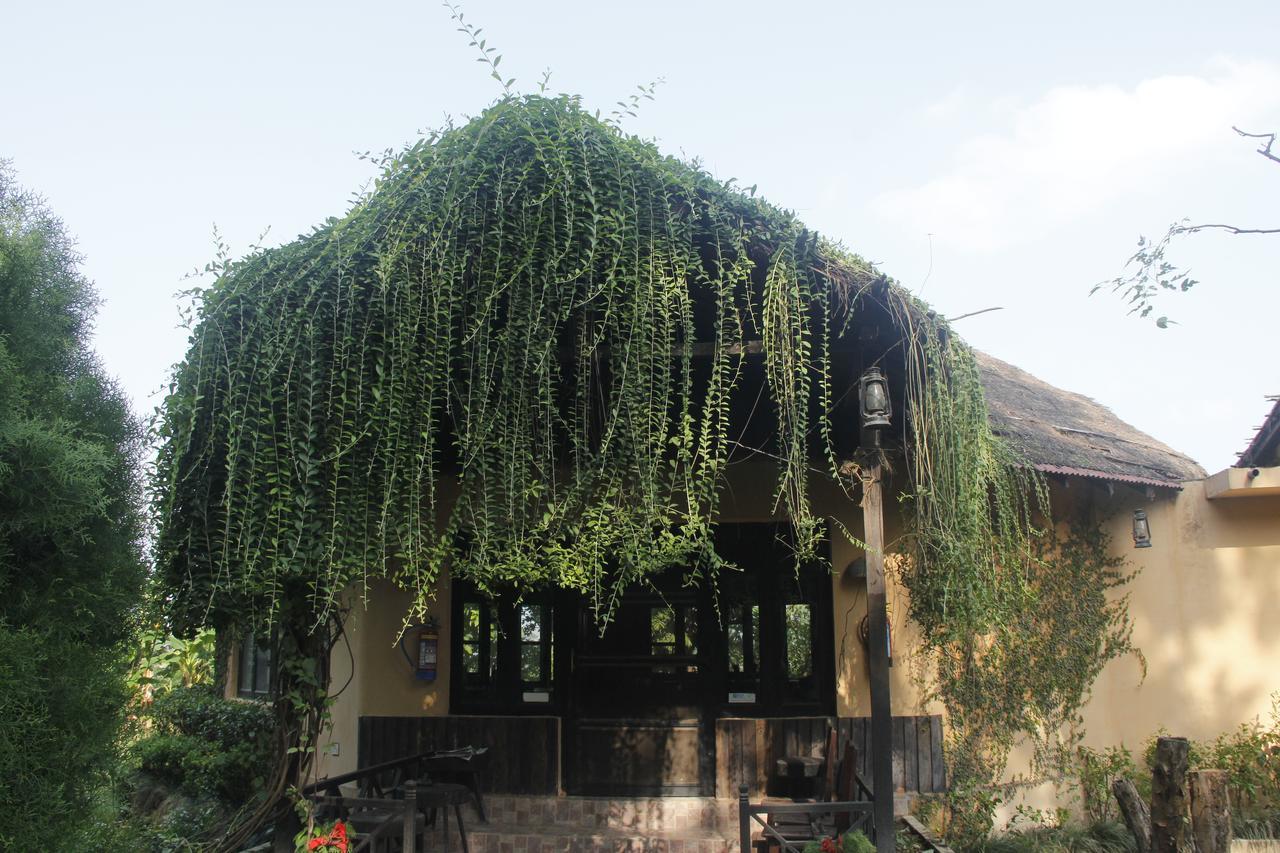 Rhino Lodge Bardia Pvt Ltd Bardiya Buitenkant foto